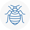 Bed Bug Extermination In Luton